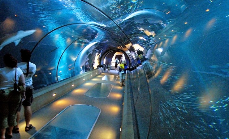 NY Aquarium